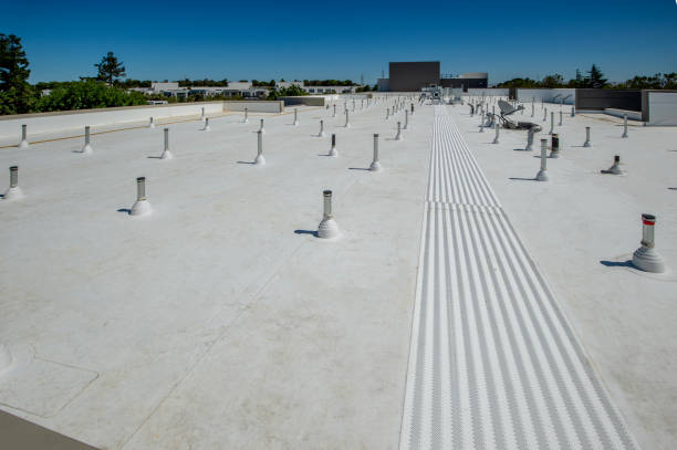 Best Gutter Installation and Repair  in Scissors, TX